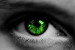Shale Gas GreenEye