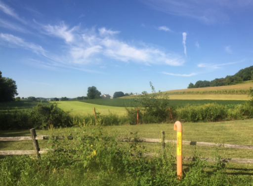 Delaware Riverkeeper