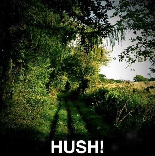 "A Half Known English Lane..." by daniel.d.slee is licensed under CC BY-NC 2.0. green hushing